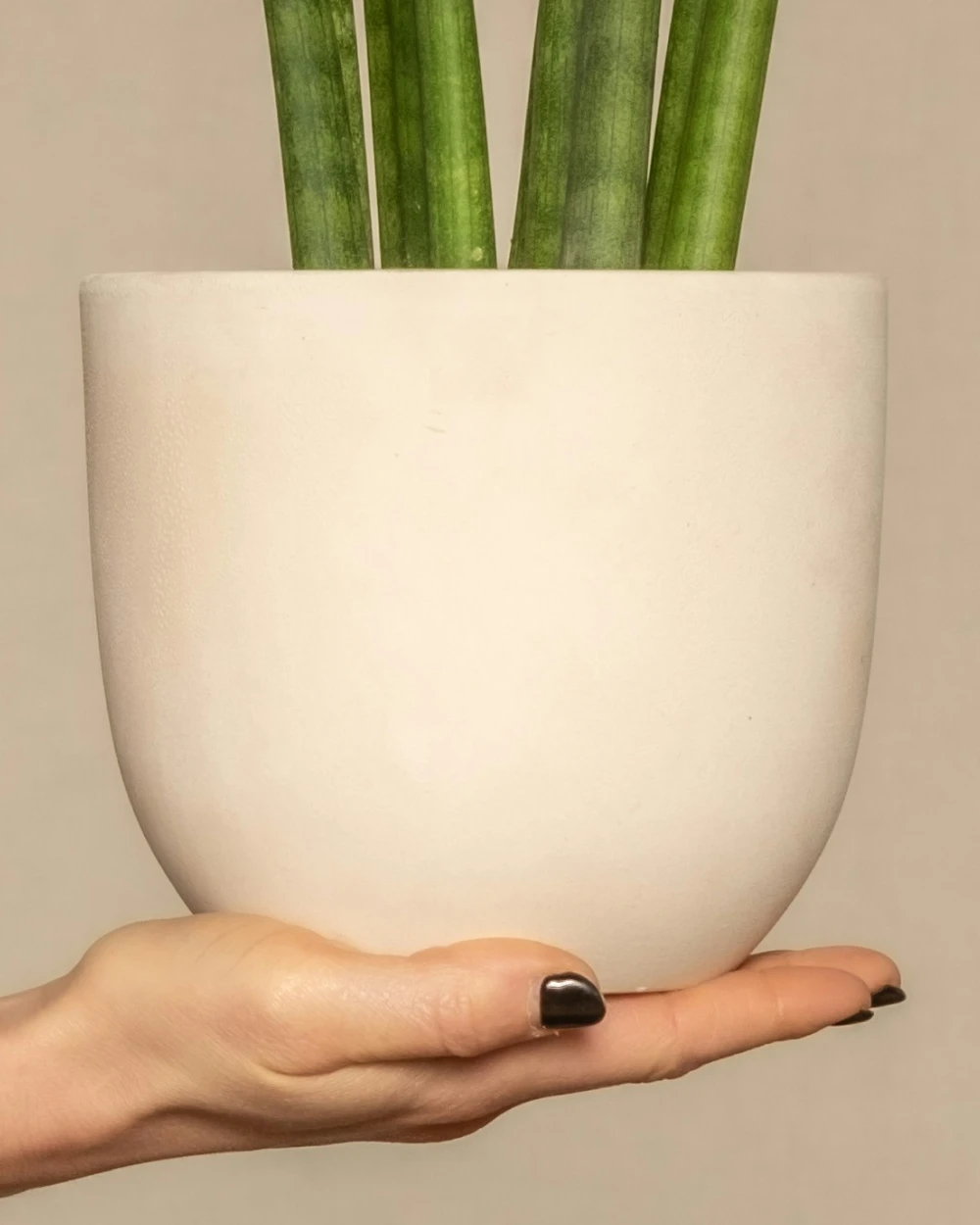 product_1_detail_1