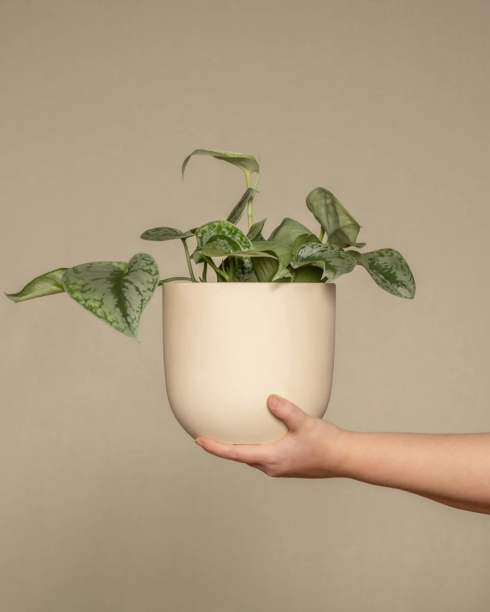 product_2