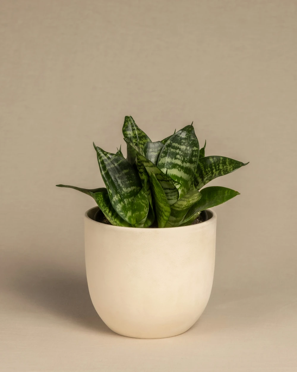 product_3