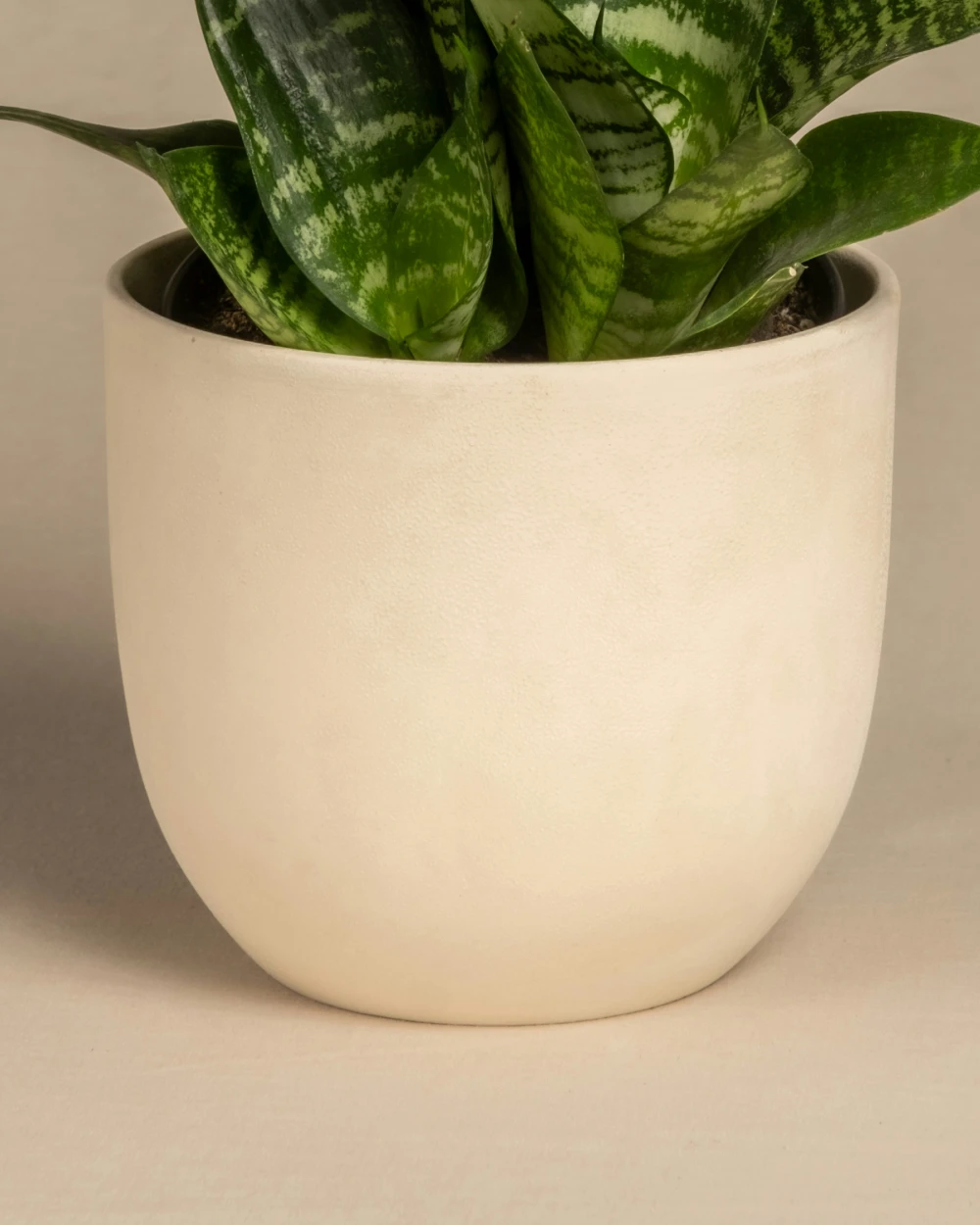 product_3_detail_1