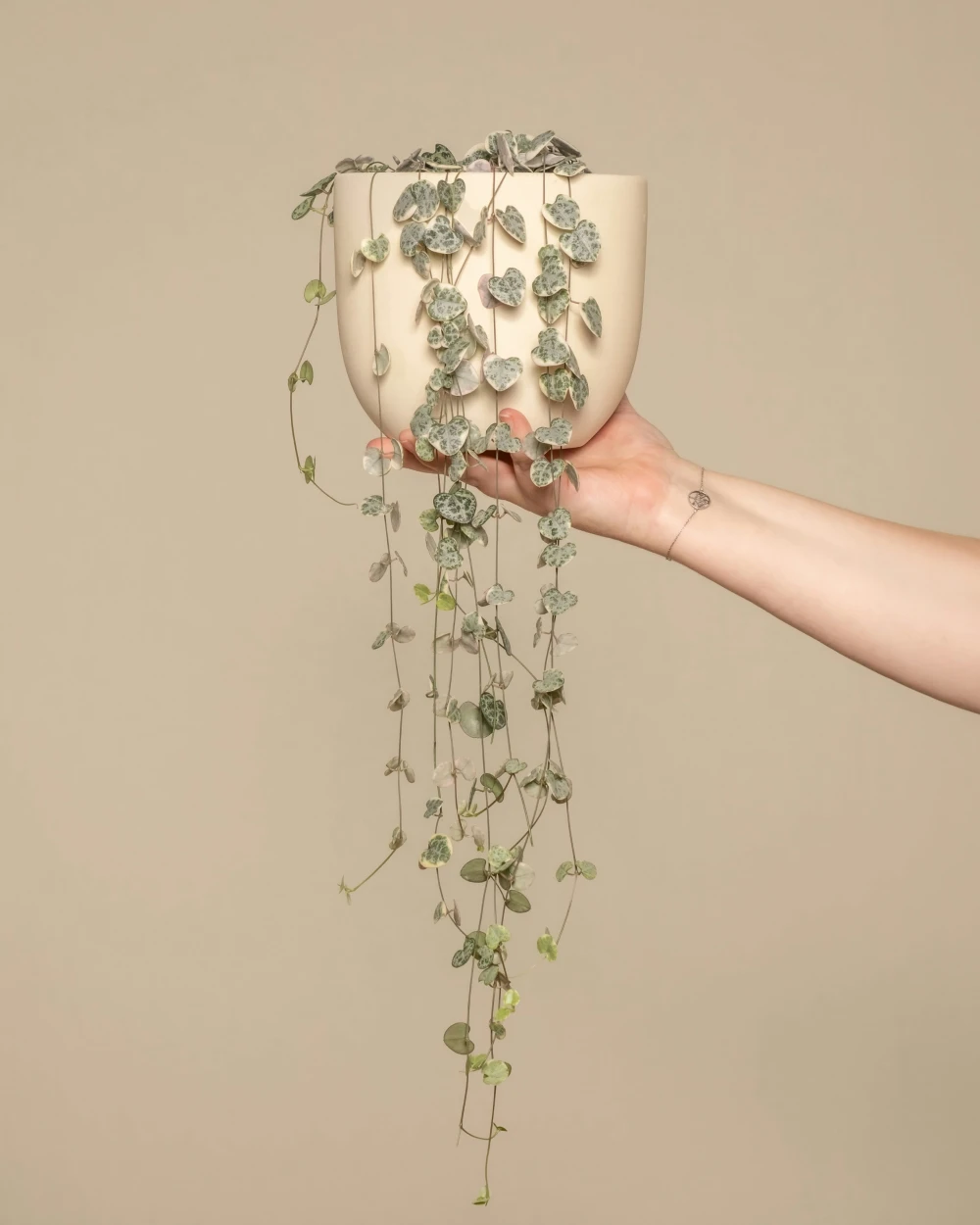 product_6